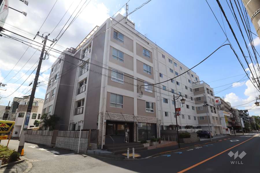 玉川コーポラスの外観（南東側から）