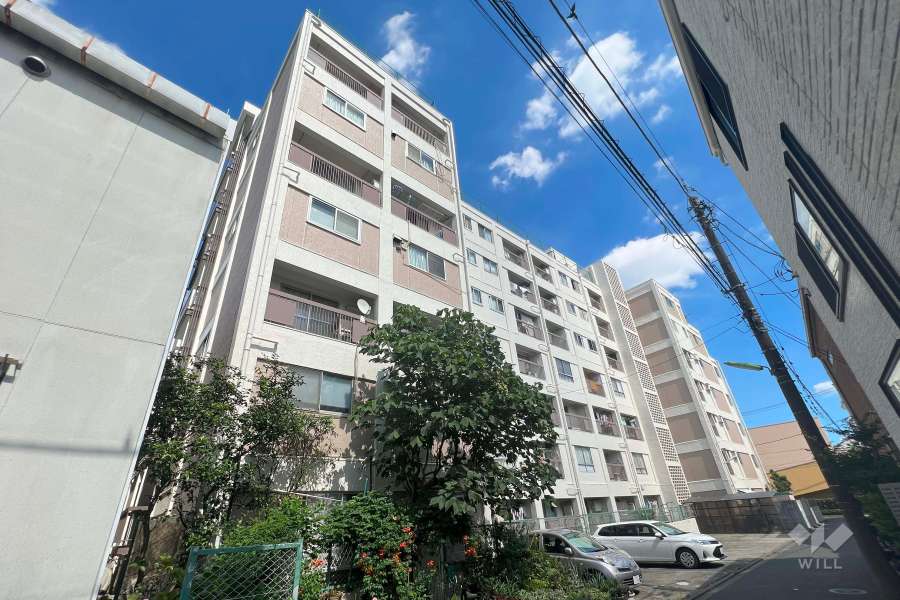 玉川コーポラスの外観（北西側から）