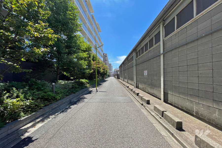 敷地南西側の前面道路（北西側から）
