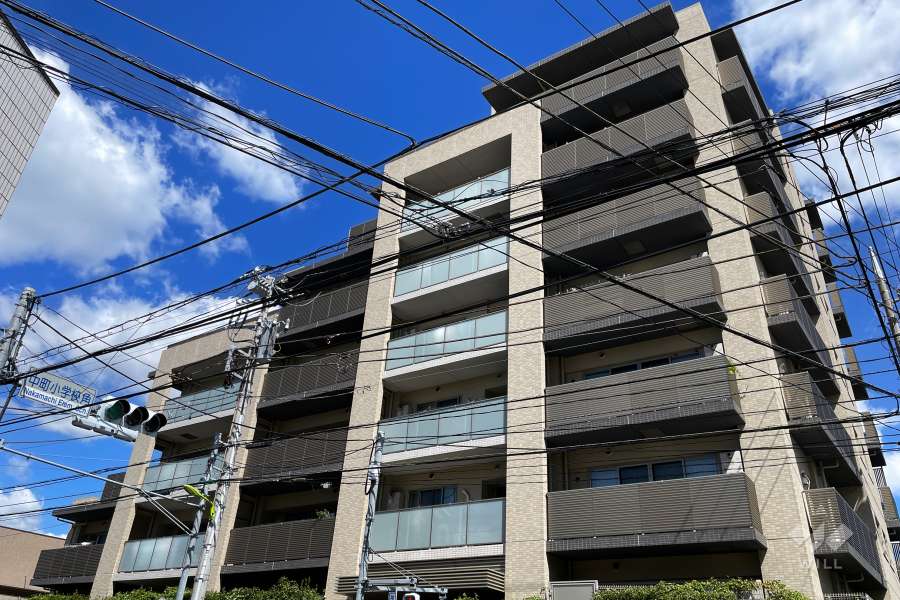 ジオ上野毛の外観（南西側から）