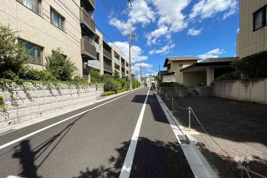 敷地南側の前面道路（西側から）