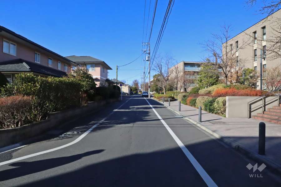敷地西側の前面道路（南側から）
