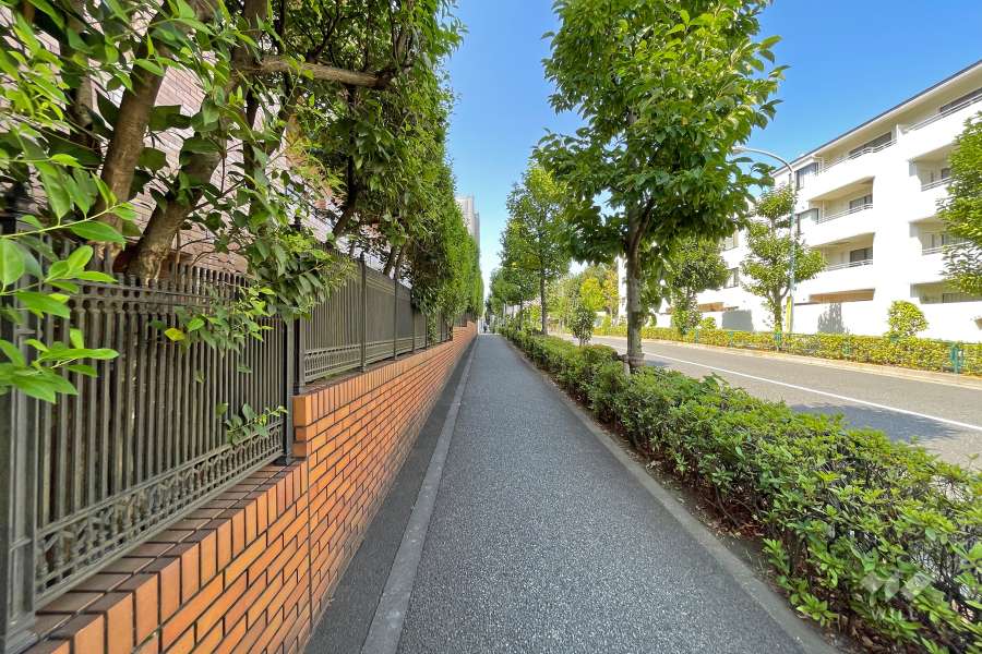 敷地北西側の前面道路（北東側から）