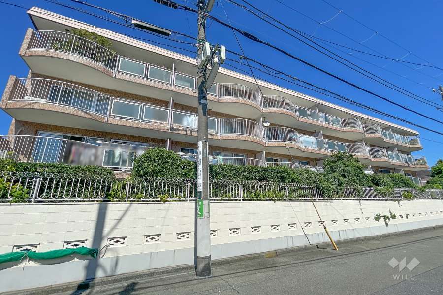 ハウス上野毛の外観（南側から）