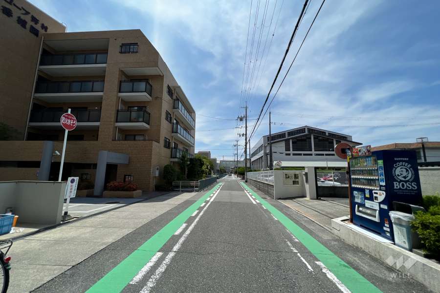敷地西側の前面道路(北側から)