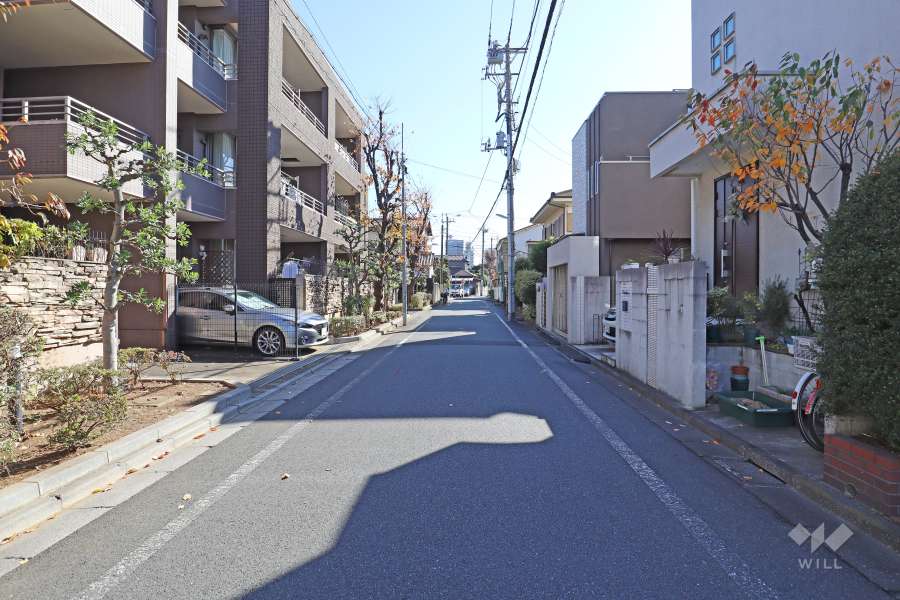 敷地西側の前面道路（北側から）