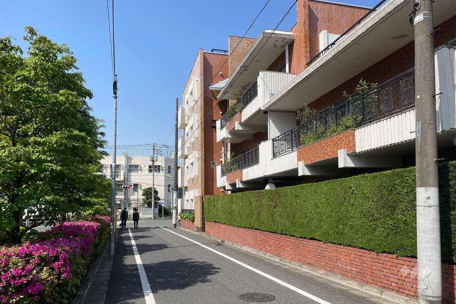 敷地南東側の前面道路（北東側から）
