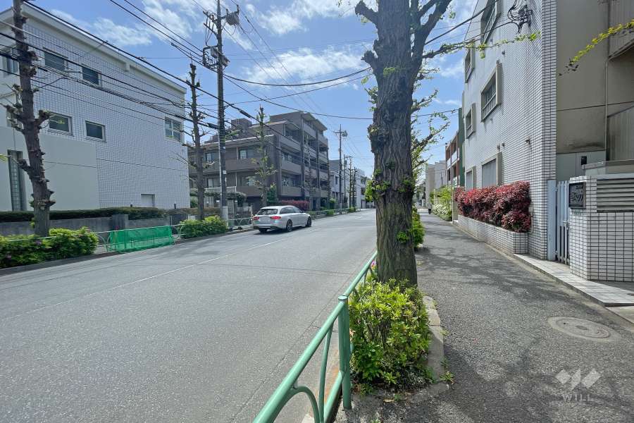 敷地東側の前面道路（北側から）