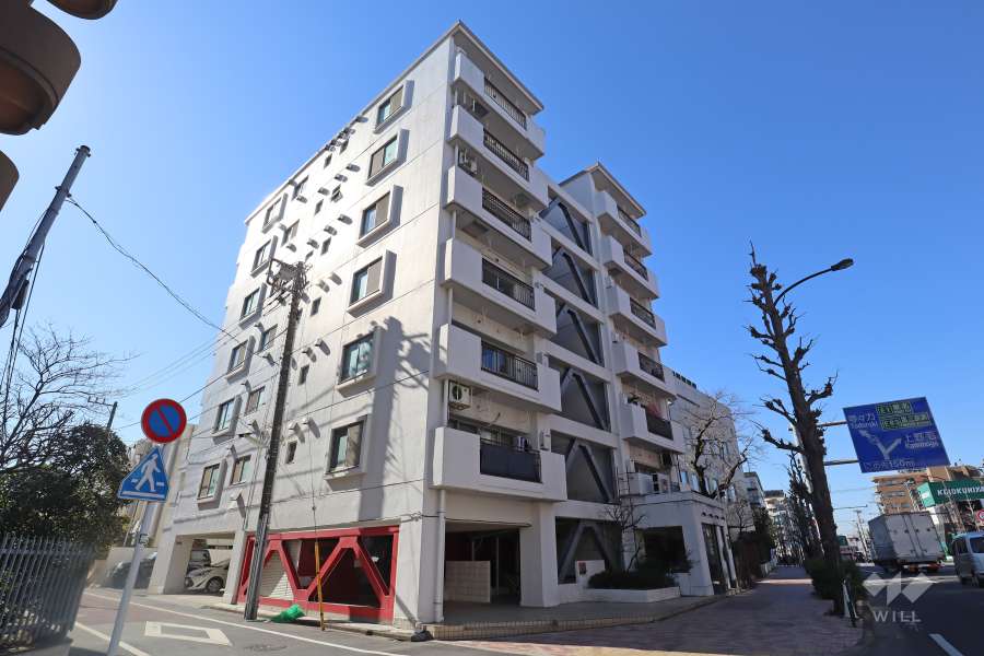 パラスト自由ヶ丘の外観(北東側から)