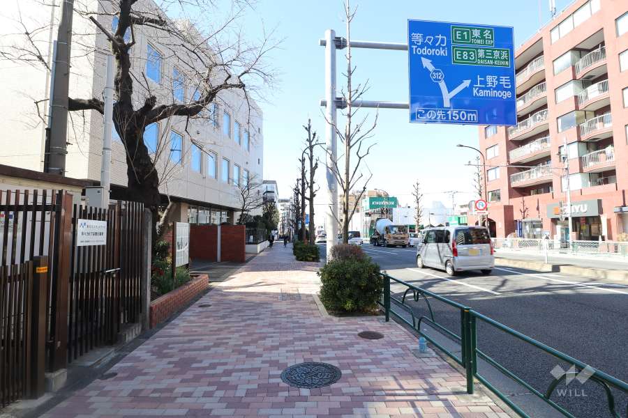 パラスト自由ヶ丘の北側前面道路(東側から)