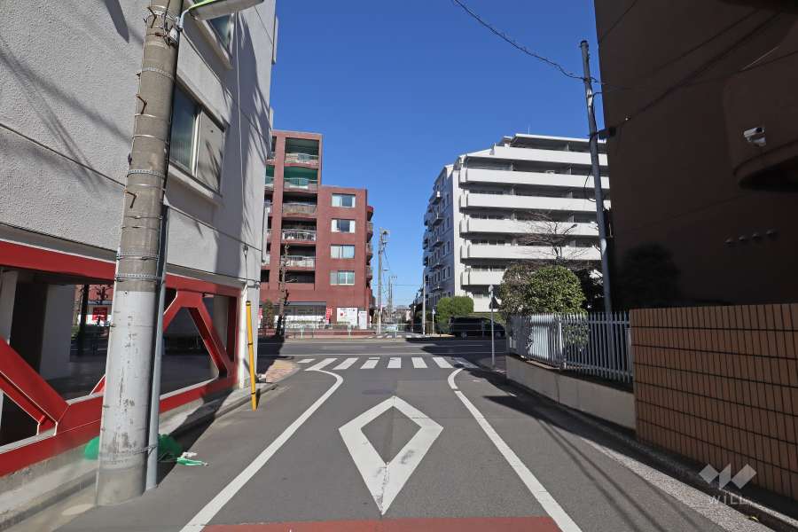 敷地東側の前面道路（南側から）