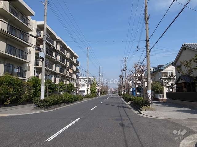 敷地東側の前面道路