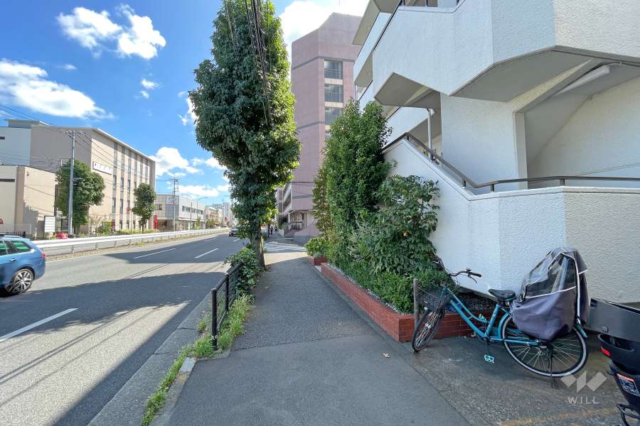 敷地北側の前面道路（西側から）