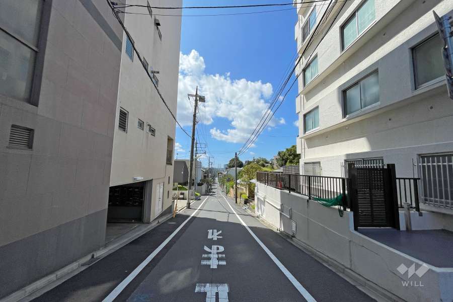 敷地東側の前面道路（北側から）