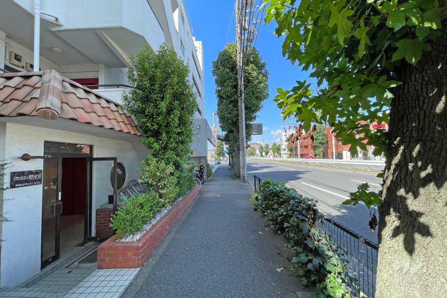 敷地北側の前面道路（東側から）