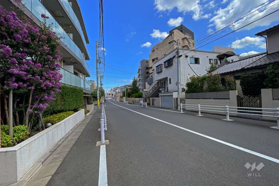 敷地南側の前面道路（西側から）
