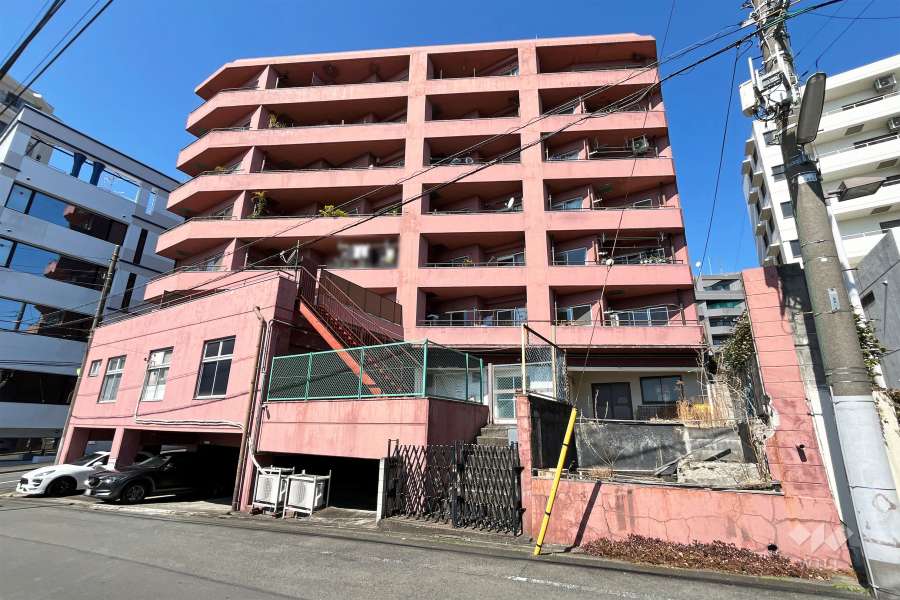 サンフラワー等々力の外観（南側から）
