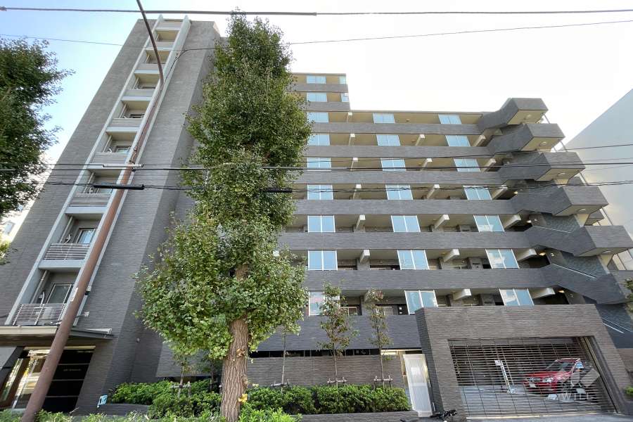 アピス等々力の外観（北側から）