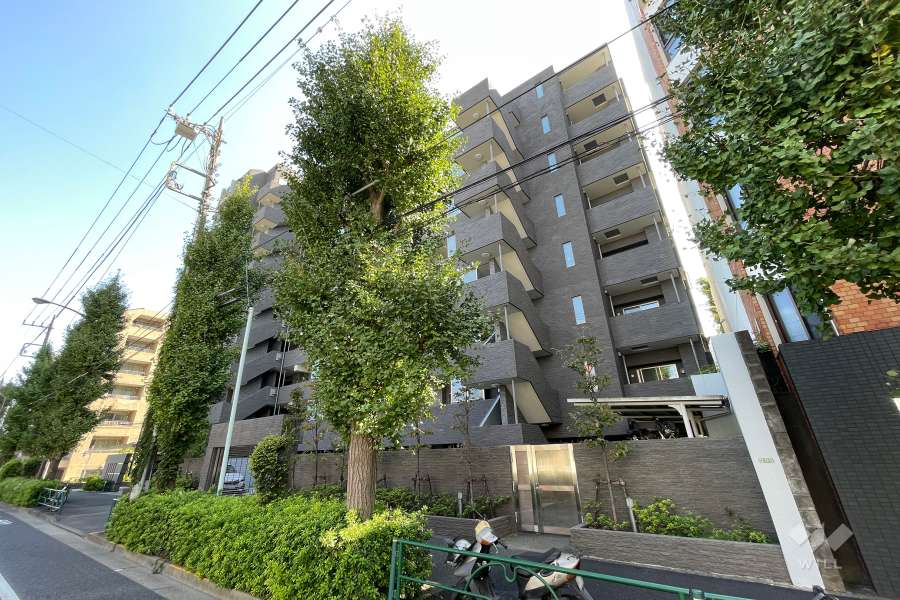 アピス等々力の外観（北西側から）