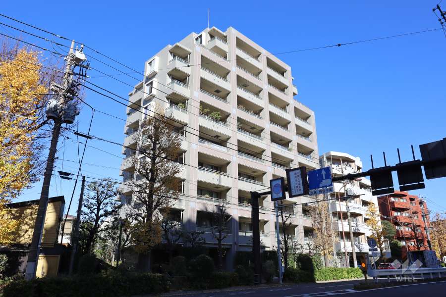 東急ドエルアルス等々力ネクステージの外観（南西側から）
