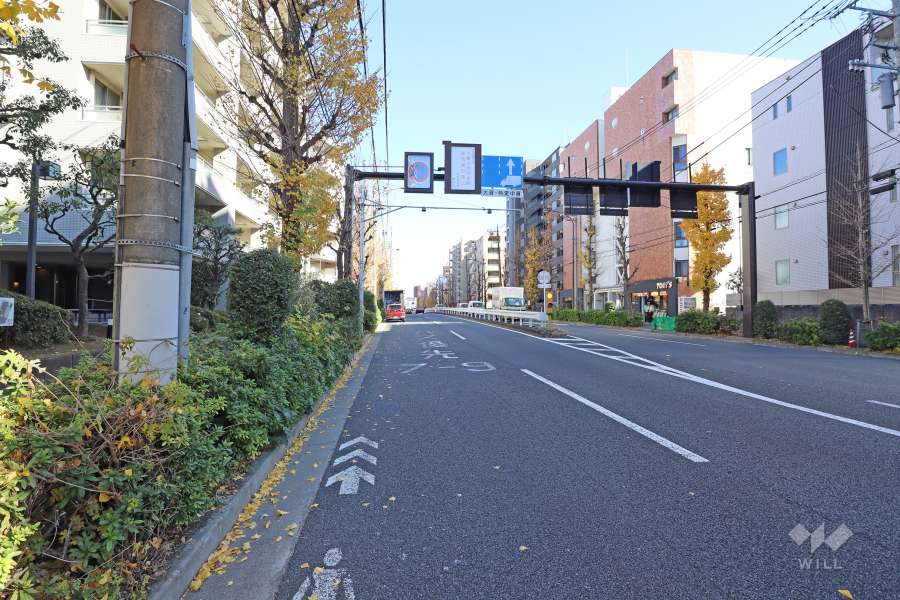 敷地の南側前面道路（西側から）