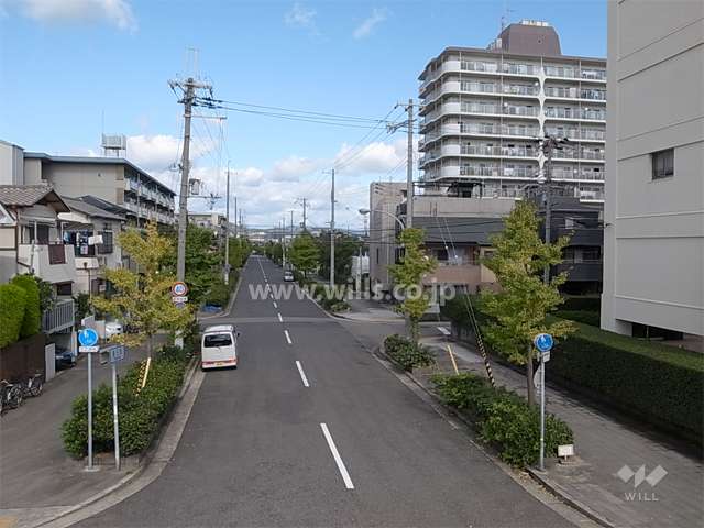 敷地西側の前面道路（建石筋）。街路樹のきれいな通りです。