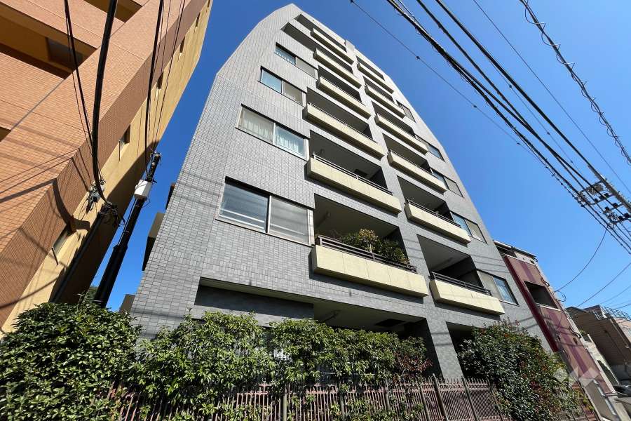 藤和シティホームズ等々力の外観（南西側から）