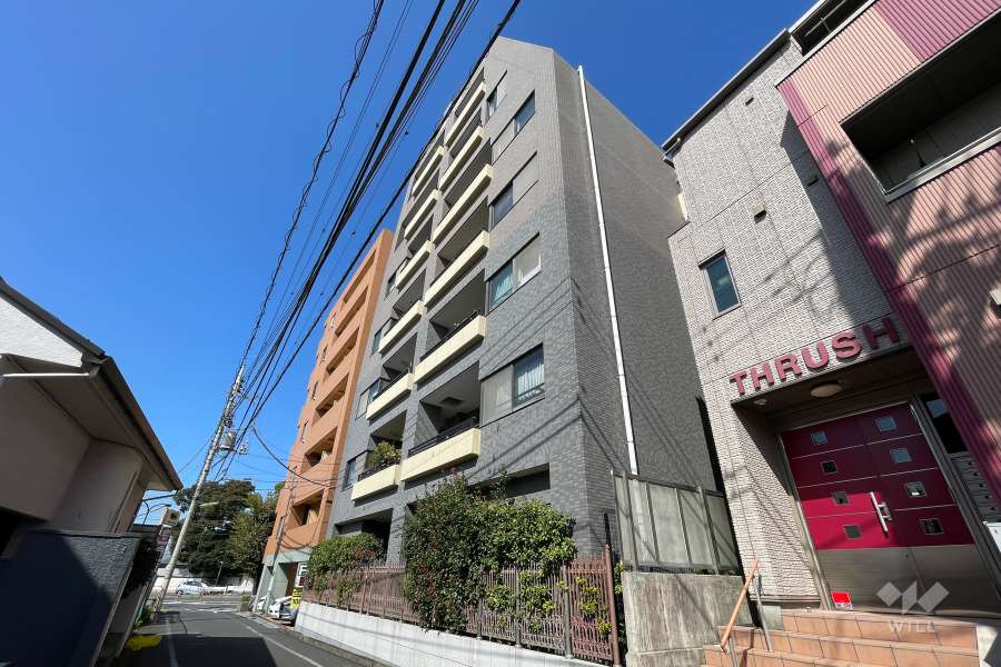 藤和シティホームズ等々力の外観（南東側から）