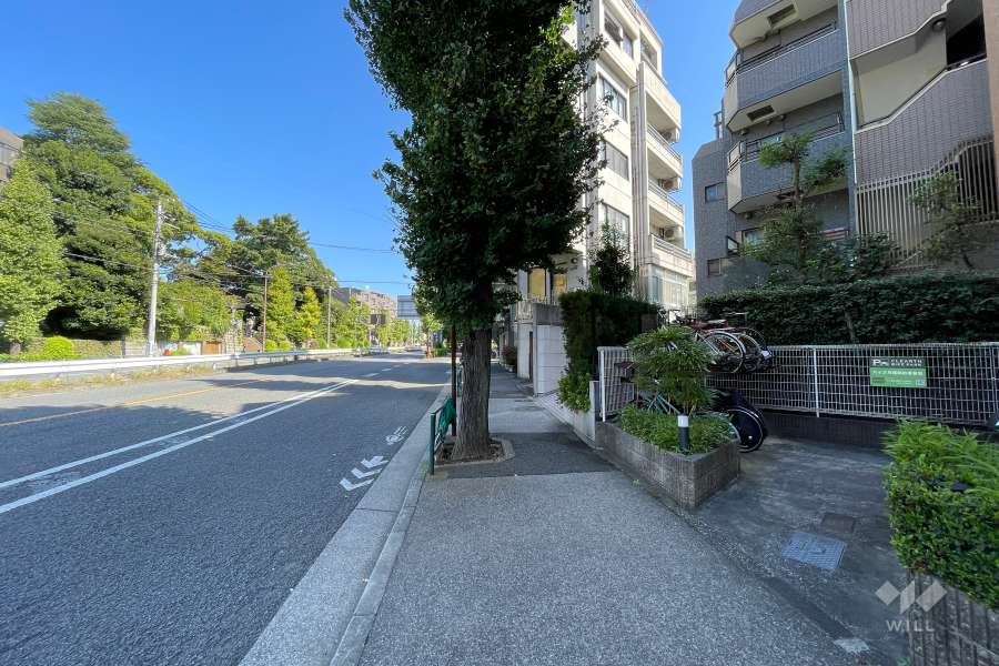 敷地の北西側前面道路（南西側から）