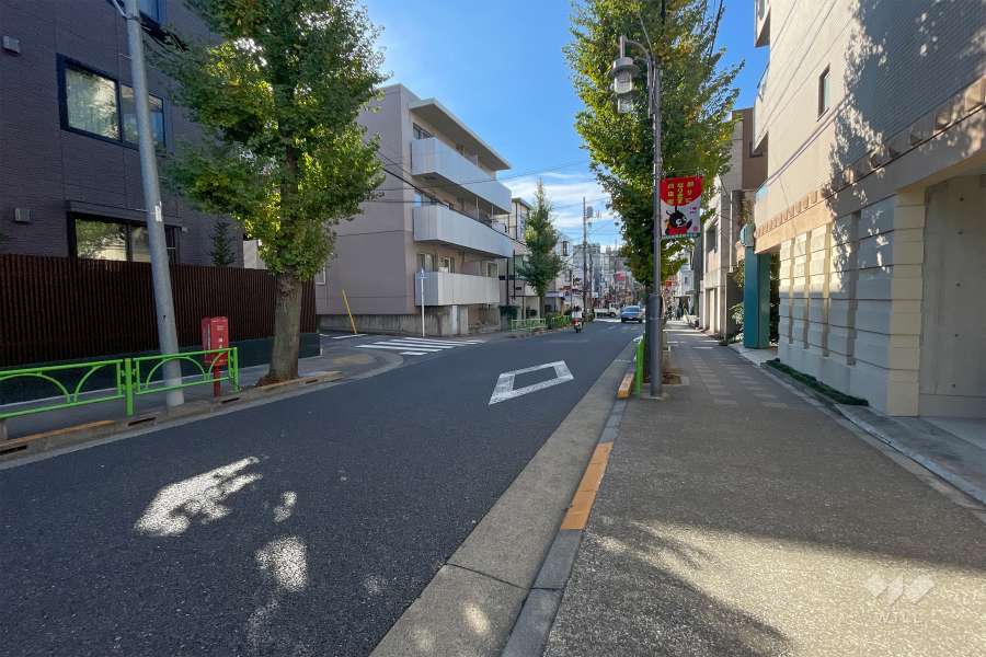 敷地東側の前面道路　　