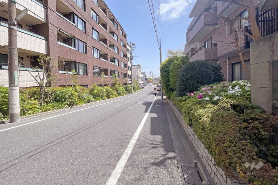 敷地北側の前面道路（西側から）