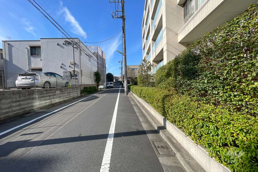 敷地南側の前面道路（東側から）