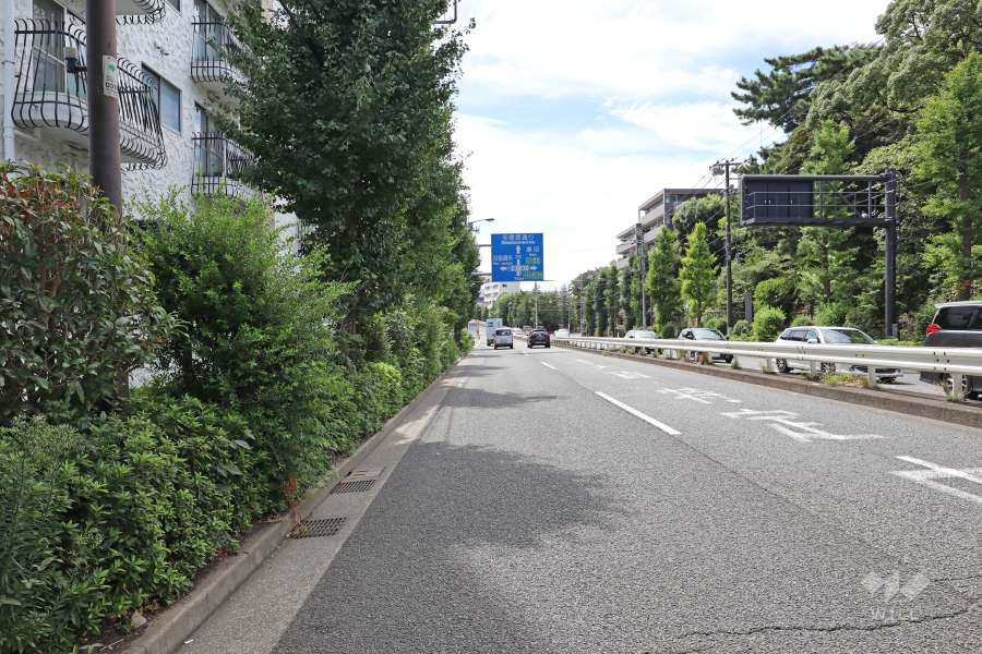 敷地北西側の前面道路（北東側から）