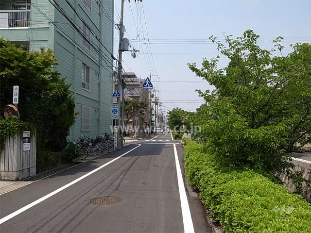 敷地東側の前面道路。道を挟んで「新堀川」が流れています。