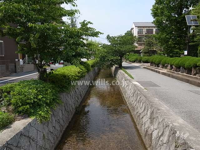 「新堀川」沿いは木々が茂り、緑豊かです。