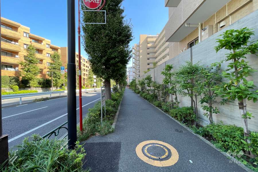 敷地北側の前面道路