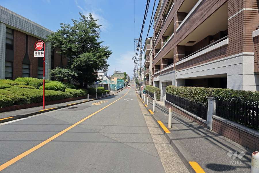 敷地南側前面道路（東側から）