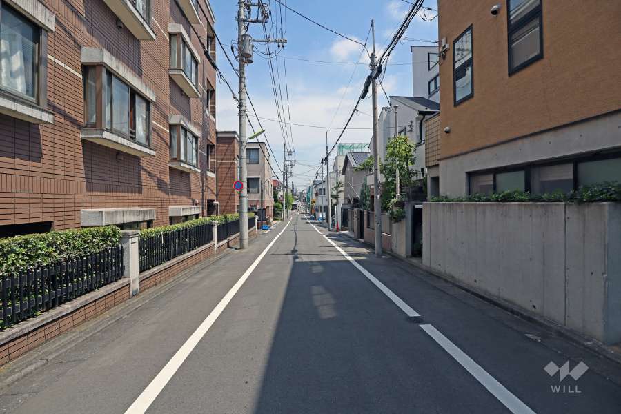 敷地の東側道路（南側から）