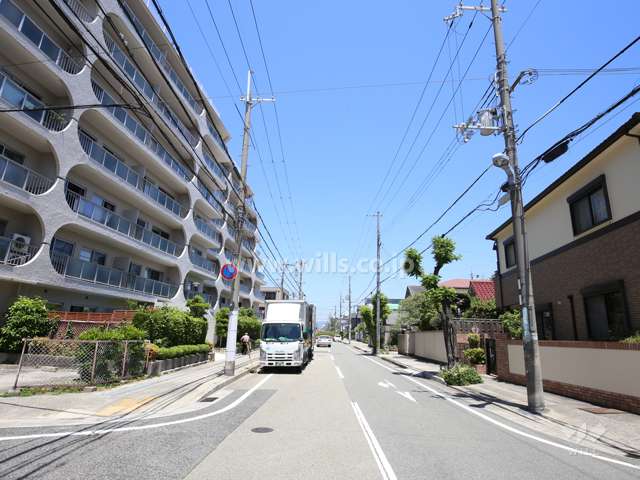 敷地東側の前面道路。敷地の3方が接道しています。