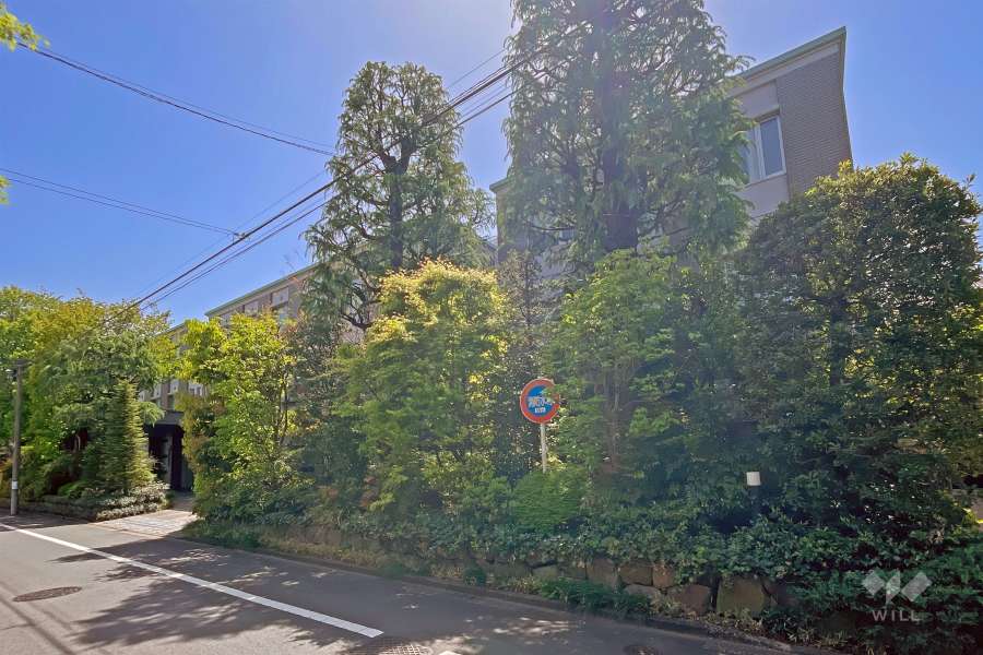 グランドメゾン等々力の外観（北西側から）