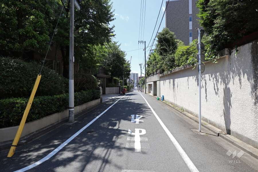 敷地北側の前面道路（東側から）