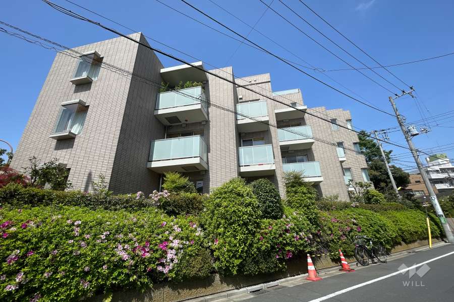 等々力グランドヒルズの外観（南東側から）