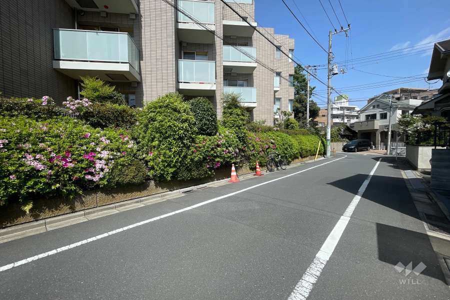 敷地の東側前面道路