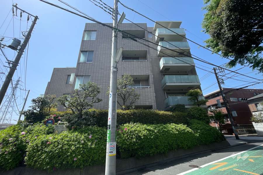 等々力グランドヒルズの外観（北東側から）