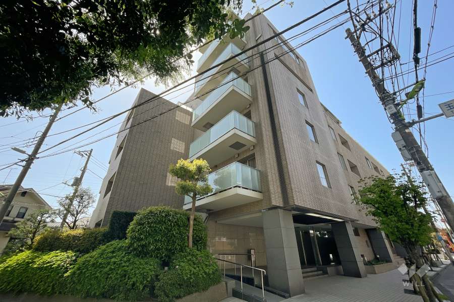 等々力グランドヒルズの外観（北側から）