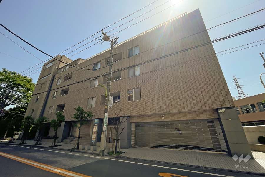 等々力グランドヒルズの外観（西側から）