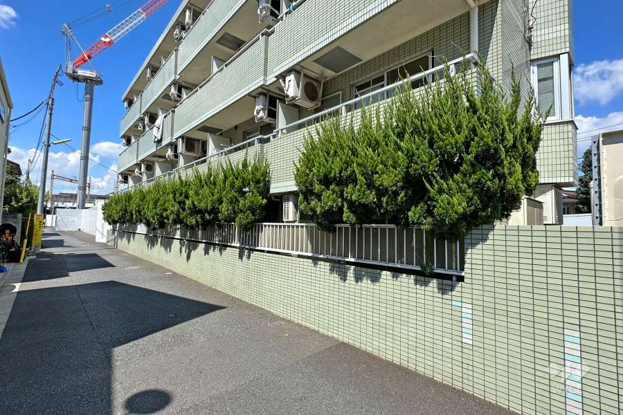 敷地西側の前面道路（南側から）