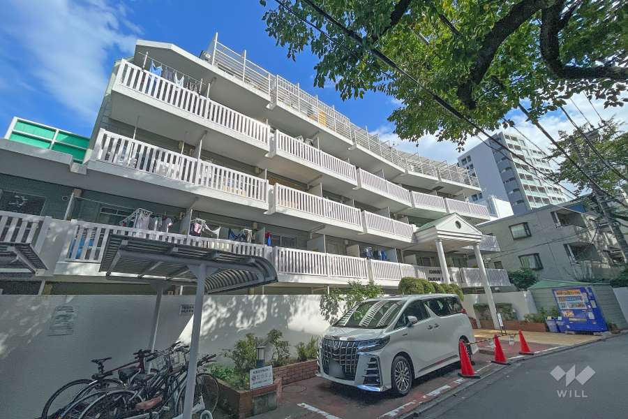 烏山ダイカンプラザの外観（北西側から）