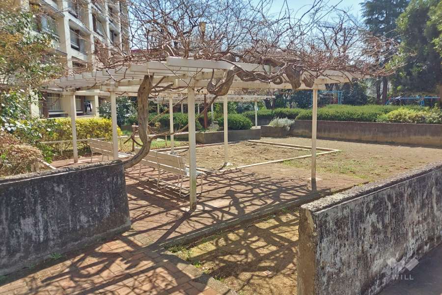 敷地内にある広場