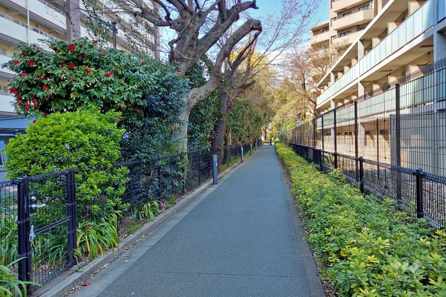 敷地内の通路